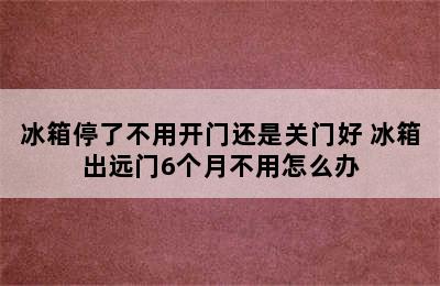 冰箱停了不用开门还是关门好 冰箱出远门6个月不用怎么办